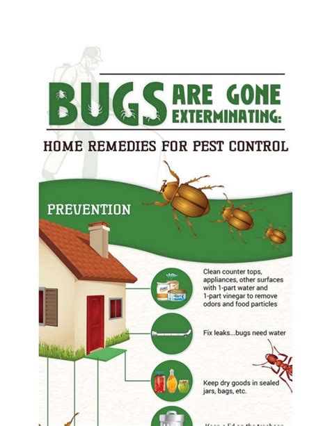 Pest control do it yourself. Things To Know About Pest control do it yourself. 